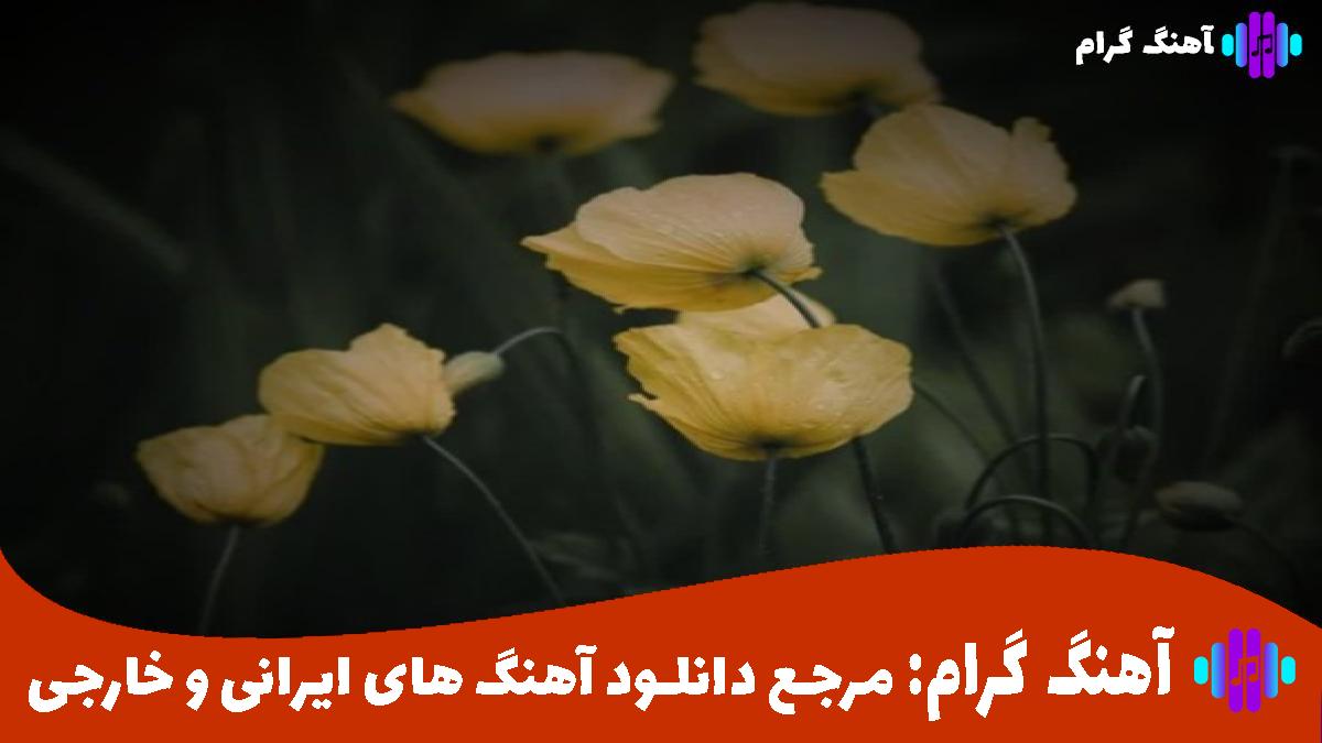 کاور آهنگ غروب از هایده و محسن لرستان